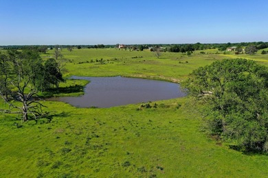 (private lake, pond, coastal) Acreage For Sale in Mabank Texas