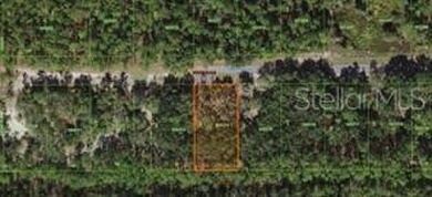 Lake Weohyakapka (Lake Walk-In-Water) Lot For Sale in Indian Lake Estates Florida