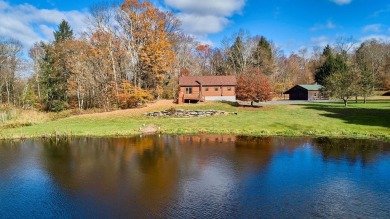 Lake Home For Sale in Callicoon, New York