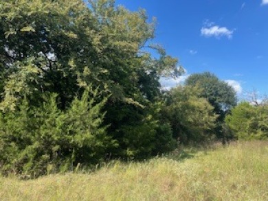 Private Lake access Wooded lots - photo 4