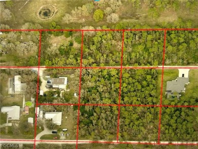 Half-acre homesite situated in a quiet, rural, and secluded - photo 3