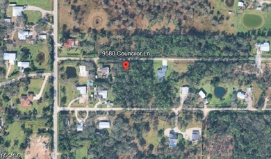 Half-acre homesite situated in a quiet, rural, and secluded - photo 4