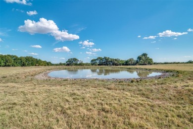 Lake Acreage For Sale in Farmersville, Texas