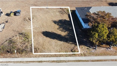 Cape Coral Area Commercial For Sale in Cape Coral Florida