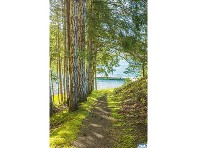 Welcome to lake life at Mallard Cove on Lake Sutherland! This 2 - photo 33