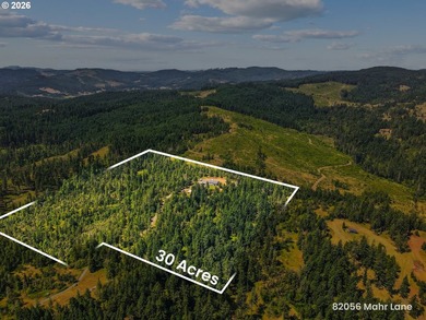 Escape to your own private, nearly 30-acre retreat just outside - photo 34