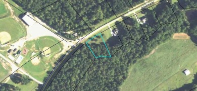 Another beautiful lot!  PUBLIC WATER AND SEWER AVAIBLE .SITE - Lake Lot For Sale in Lincolnton, Georgia