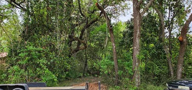 One of the last available lots on Live Oak Street in Choctaw - photo 12