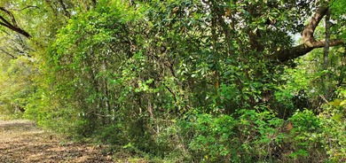 One of the last available lots on Live Oak Street in Choctaw - photo 13