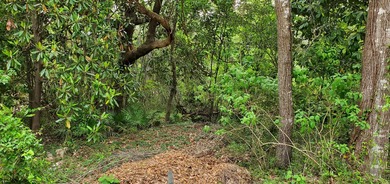 One of the last available lots on Live Oak Street in Choctaw - photo 14