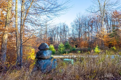 Rare opportunity to own a 9.16 acre buildable lot within the - photo 2