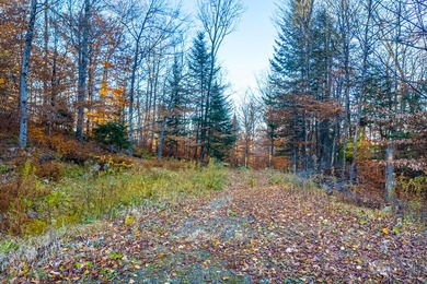 Rare opportunity to own a 9.16 acre buildable lot within the - photo 3