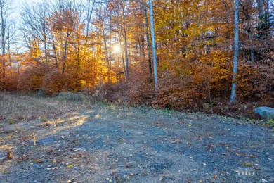 Rare opportunity to own a 9.16 acre buildable lot within the - photo 4