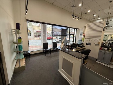 Established Salon Space - Prime Glen Cove Location Rare - photo 24
