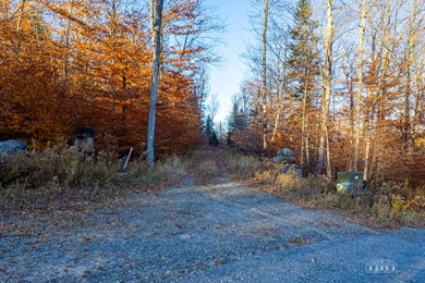 Rare opportunity to own a 9.16 acre buildable lot within the - photo 5