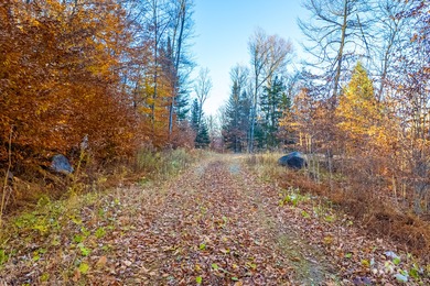Rare opportunity to own a 9.16 acre buildable lot within the - photo 6