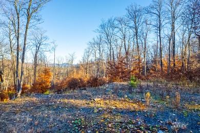 Rare opportunity to own a 9.16 acre buildable lot within the - photo 7