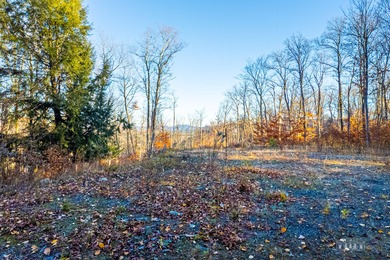 Rare opportunity to own a 9.16 acre buildable lot within the - photo 8