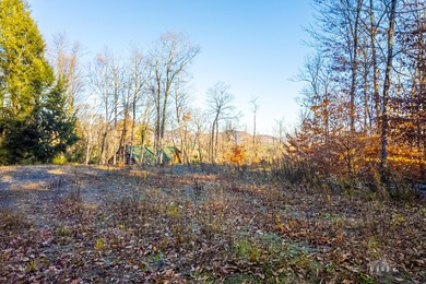 Rare opportunity to own a 9.16 acre buildable lot within the - photo 10