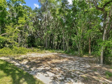 Welcome to your slice of Florida paradise! This just-completed - photo 39