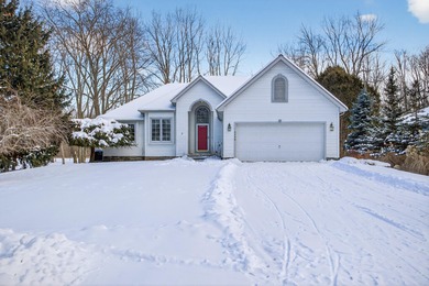 (private lake, pond, creek) Condo For Sale in Jackson Michigan