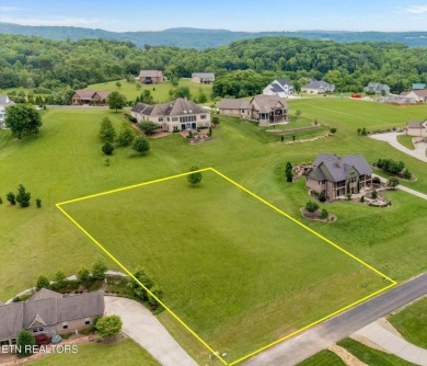 Lake Lot Sale Pending in Rockwood, Tennessee