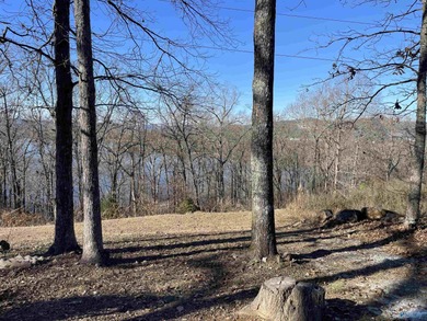 Lake Lot For Sale in Scottsboro, Alabama