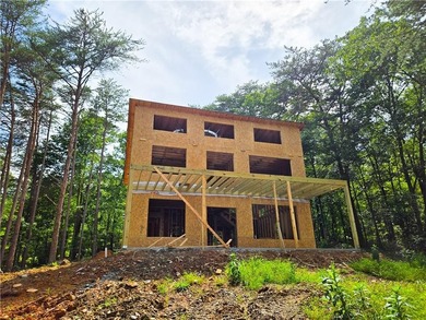 Carters Lake Home For Sale in Ranger Georgia