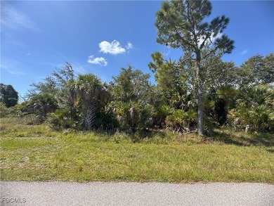 This vacant lot in the beautiful South Gulf Cove community - photo 2