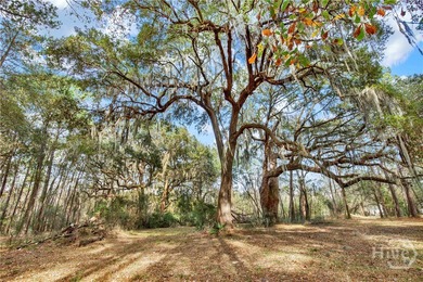 187 Burton Rd is Lot 3 of the 4 Lots For Sale on the Ogeechee - photo 12