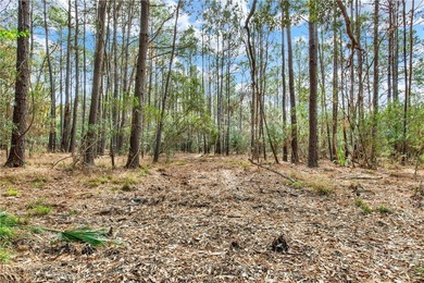 187 Burton Rd is Lot 3 of the 4 Lots For Sale on the Ogeechee - photo 13