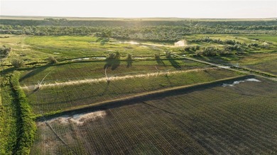 Dark Skies Farm may be the most improved duck hunting land ever - photo 14