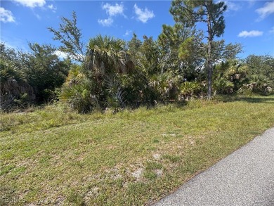 This vacant lot in the beautiful South Gulf Cove community - photo 4