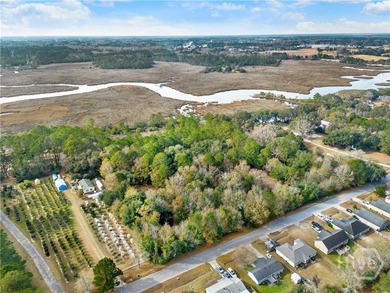 187 Burton Rd is Lot 3 of the 4 Lots For Sale on the Ogeechee - photo 22