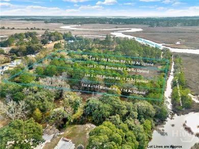 187 Burton Rd is Lot 3 of the 4 Lots For Sale on the Ogeechee - photo 23