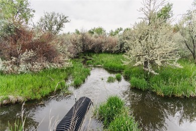 Dark Skies Farm may be the most improved duck hunting land ever - photo 40