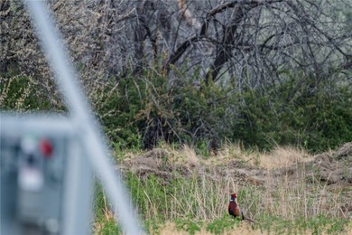 Dark Skies Farm may be the most improved duck hunting land ever - photo 41