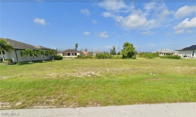 Imagine the possibilities with this magnificent gulf access lot - photo 3
