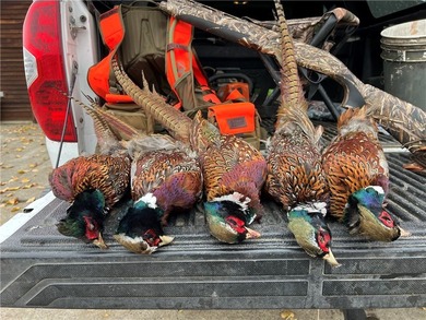 Dark Skies Farm may be the most improved duck hunting land ever - photo 46