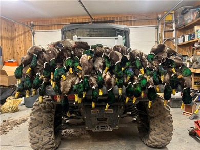 Dark Skies Farm may be the most improved duck hunting land ever - photo 48