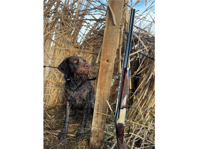 Dark Skies Farm may be the most improved duck hunting land ever - photo 49