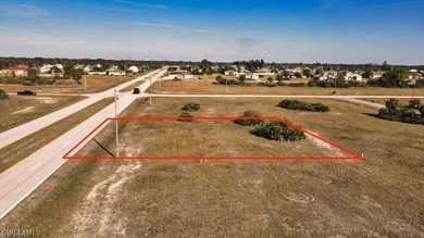 Vacant Residential land in NE Cape Coral also know as gator - photo 2