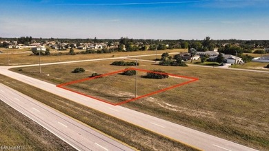 Vacant Residential land in NE Cape Coral also know as gator - photo 3
