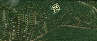 Land For Sale in Near Lake Of The Ozarks MissouriWholesale - photo 3