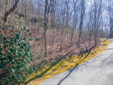 Great mountain views from this gently rolling home-site located - photo 3