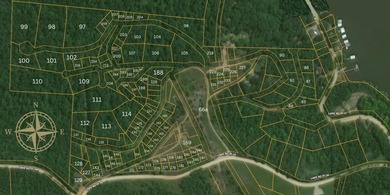 Land For Sale in Near Lake Of The Ozarks MissouriWholesale - photo 4