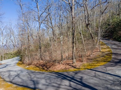 Great mountain views from this gently rolling home-site located - photo 4
