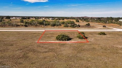 Vacant Residential land in NE Cape Coral also know as gator - photo 5
