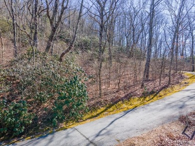 Great mountain views from this gently rolling home-site located - photo 5