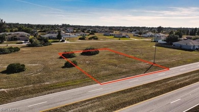 Vacant Residential land in NE Cape Coral also know as gator - photo 7